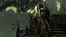   The Elder Scrolls V: Skyrim - Dragonborn