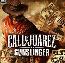 Call of Juarez: Gunslinger.  